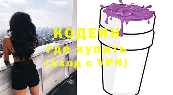 твердый Дмитровск