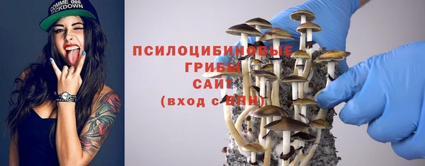 твердый Дмитровск