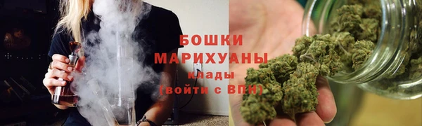 твердый Дмитровск