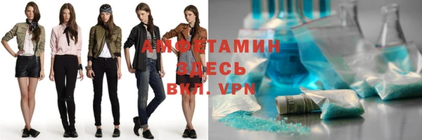 твердый Дмитровск