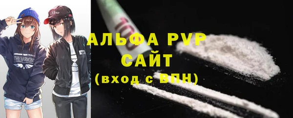 твердый Дмитровск