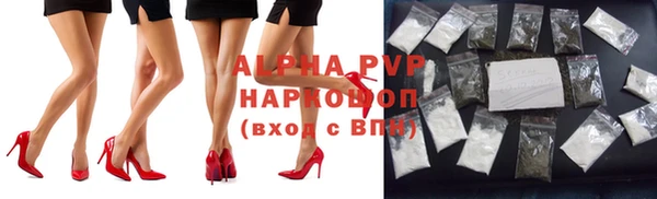твердый Дмитровск