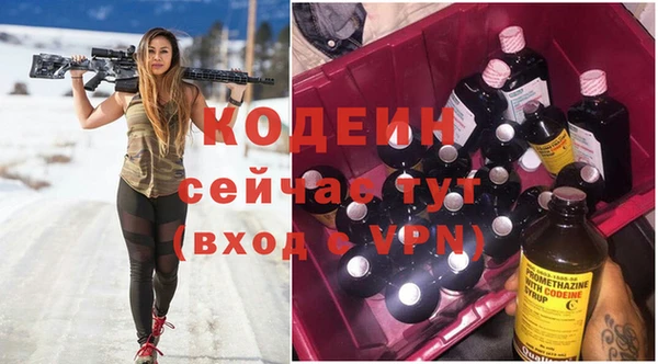 твердый Дмитровск